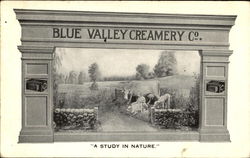 Blue Valley Creamery Co.,, 700-704 S. Clinton St. Postcard