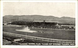 Tijuana Kennel Club, Tijuana Hot Springs Postcard