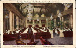 The Palace Palm Court Postcard