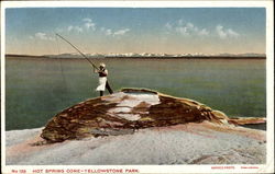 Hot Spring Cone Postcard