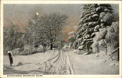 Winter Scene Brunswick, ME Postcard Postcard