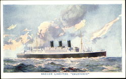 Anchor Line T. S. S. Caledonia Postcard