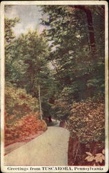 Greetings From Tuscarora Postcard