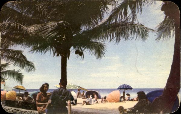 Tropical Paradise Miami Beach Florida