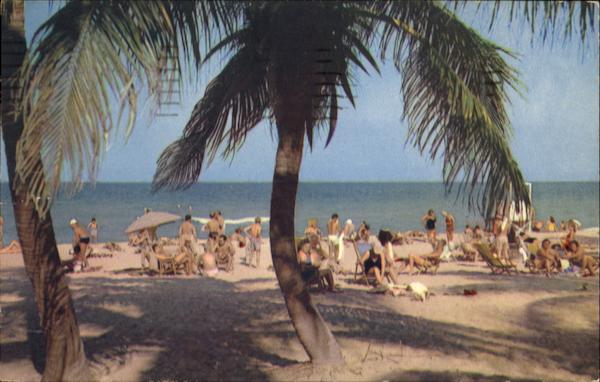 Sun And Surf Bathing Under The Palms Miami Beach Florida