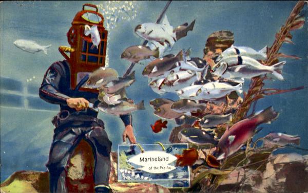 Marineland California Amusement Parks