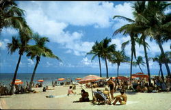 A Lovely Florida Beach Postcard