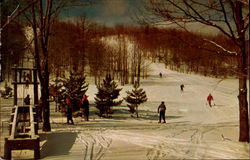 Caberfae Ski Area Cadillac, MI Postcard Postcard