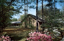 First Presbyterian Church Hilton Head Island, SC Postcard Postcard