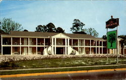 The Magnolia Motel Postcard
