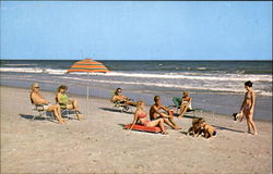 Greetings From Myrtle Beach South Carolina Postcard Postcard