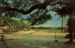 The Sand Dollar Camp Ground Postcard