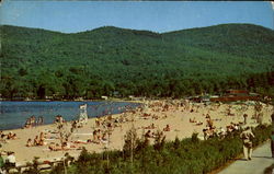 In The Adirondacks Lake George, NY Postcard Postcard