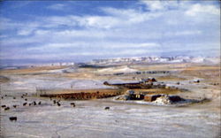 Cow Country Cow Country