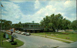 Florida's Silver Springs Postcard