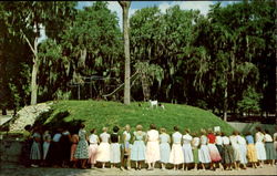 Jacksonville 's Free Zoo Postcard