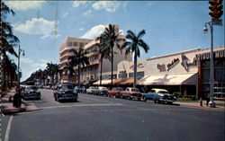 Fashionable Palm Studded Lincoln Road Postcard