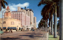 Beautiful Biscayne Blvd Postcard
