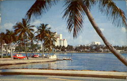 Skyline West Palm Beach, FL Postcard Postcard