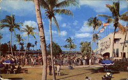 Tropical Park Coral Gables, FL Postcard Postcard