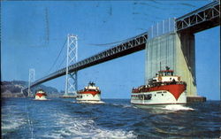 Harbor Tours Postcard