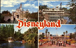 Disneyland Postcard