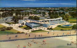 New York Aquarium And Seaside Park Postcard