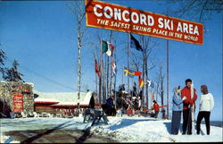 The Concord Hotel Postcard