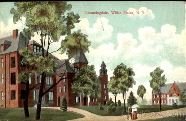 Bloomingdale White Plains New York