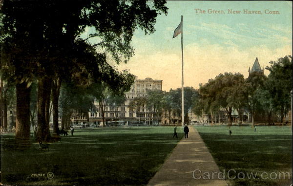 The Green New Haven Connecticut