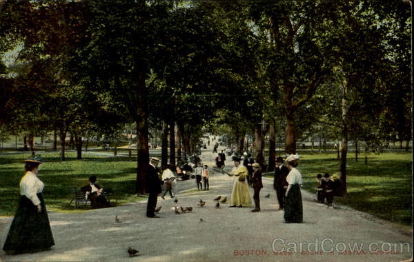 Scene In Boston Common Massachusetts
