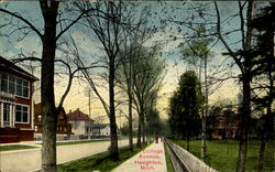 College Avenue Postcard