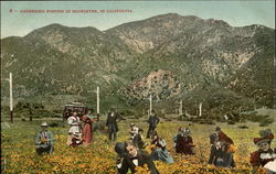 Gathering Poppies In Midwinter Postcard