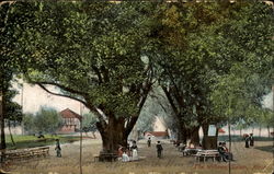 The Willows Postcard