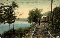 Pioneer Pond Postcard