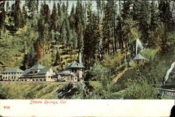 Shasta Springs Postcard
