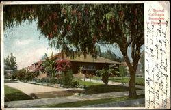 A Typical California Bungalow Pasadena, CA Postcard Postcard