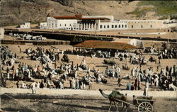 General View Postcard