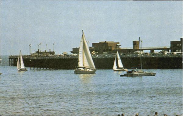 For Sun And Fun Santa Cruz California