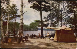 Fish Creek Camp Site New York Postcard Postcard