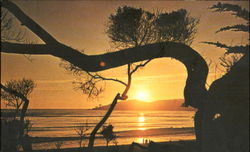 Carmel Sunset Postcard
