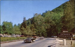 Pfeiffer Big Sur State Park, Highway #1 Postcard