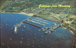 Greetings From Monterey Postcard