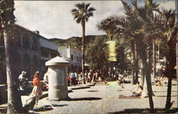Beach At Santa Catalina Postcard
