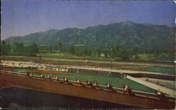 Horses Parading To The Post, Santa Anita Park Postcard