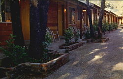Cedar Lodge Motel Postcard