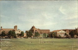 U. C. L. A. The University Of California Postcard