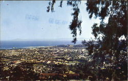 Santa Barbara California Postcard Postcard