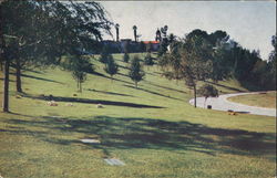 Mountain View Lawn Postcard