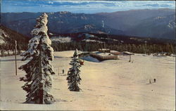 Mt. Shasta Ski Bowl Mount Shasta, CA Postcard Postcard